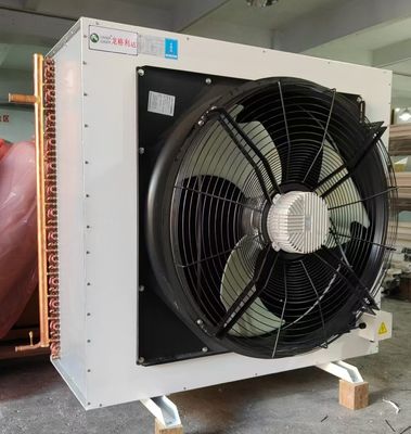 20 kW πλευρική διάσπαση θερμότητας με αντλία φθορίου Συμπιεστή στεγνή ψύξη